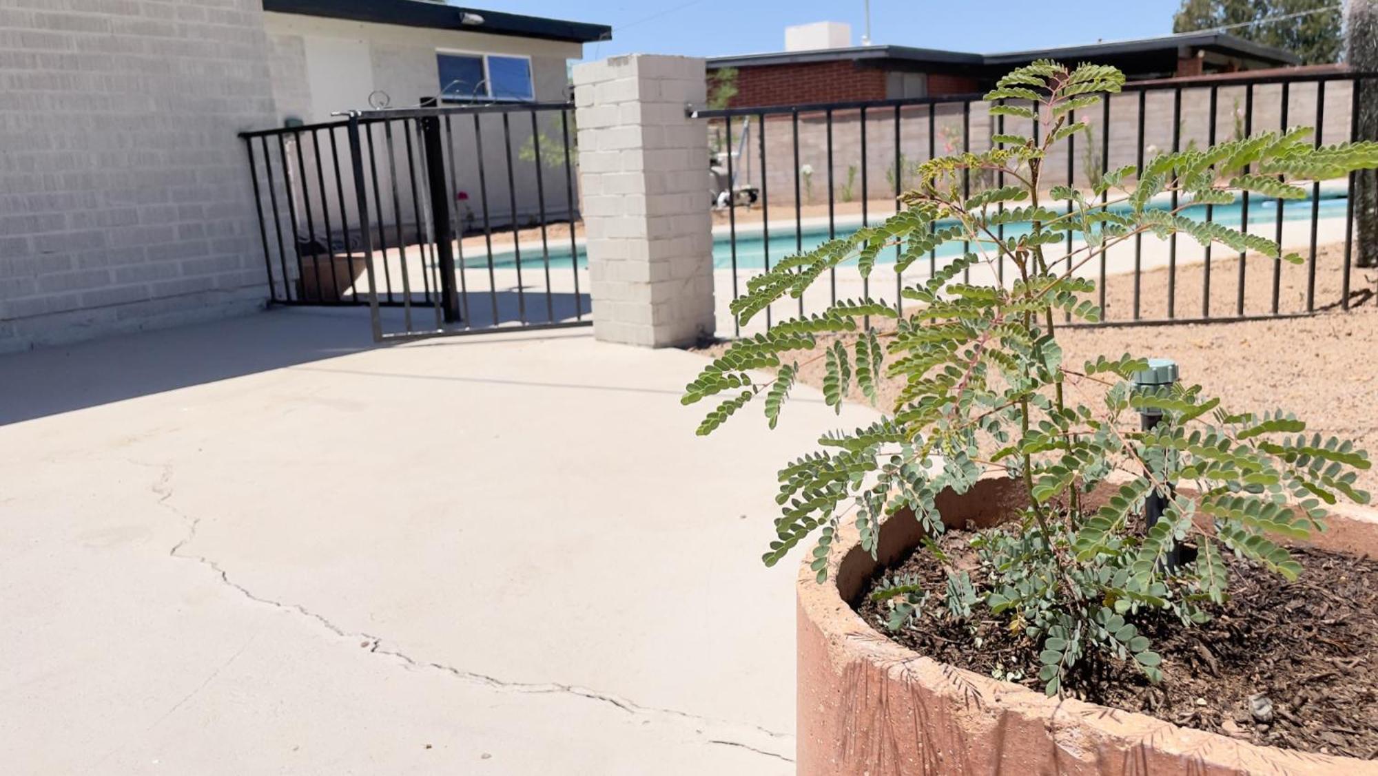 Private Home - Heated Pool, Billiards, Darts, Foosball, Fireplace, 5 Smart Tvs, Bbq, Cotton Bedding - The Saguaro Sanctuary, Pool Heat Optional توسن المظهر الخارجي الصورة